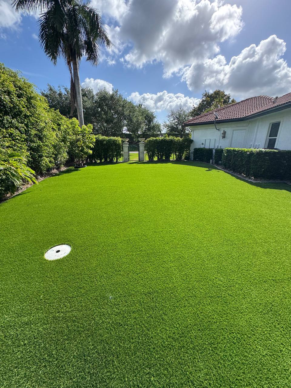Beautiful artificial ivy wall installation creating a living wall effect