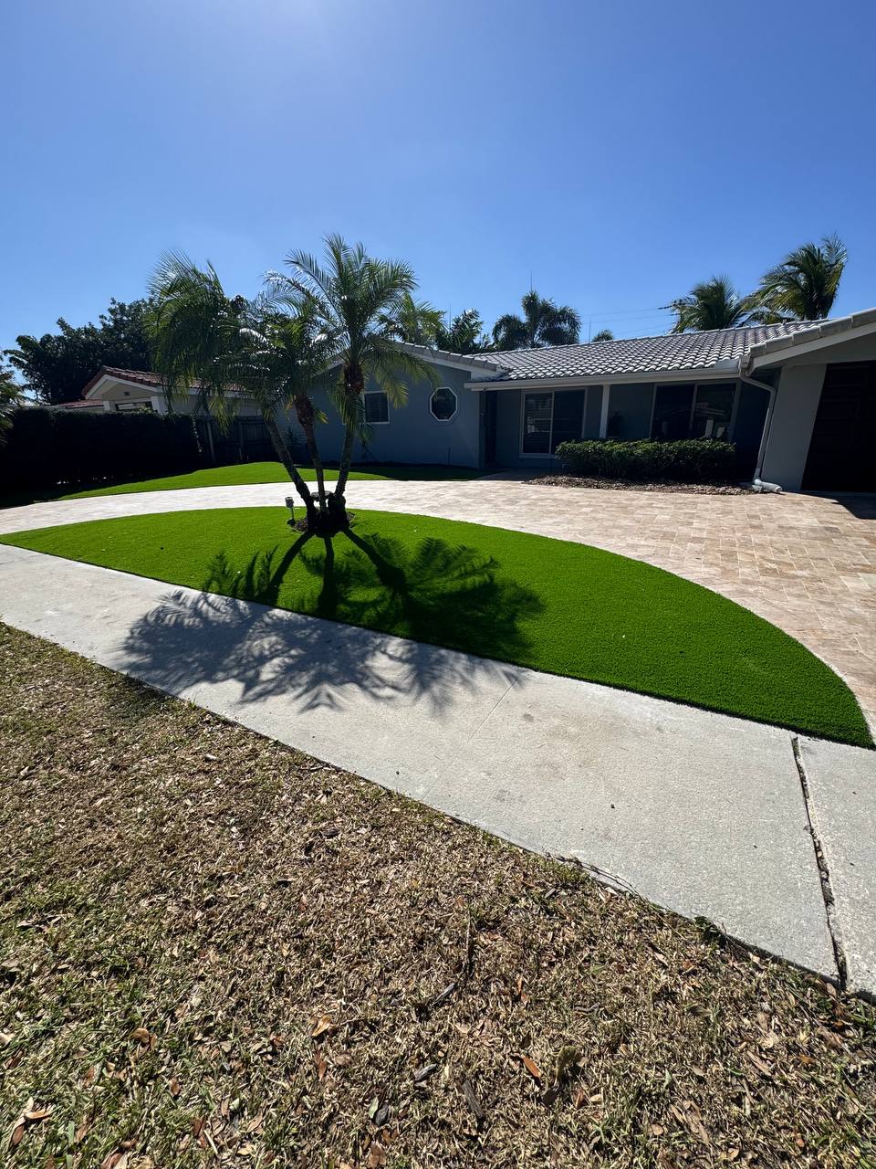 Happy dog playing on pet-friendly artificial turf in a backyard